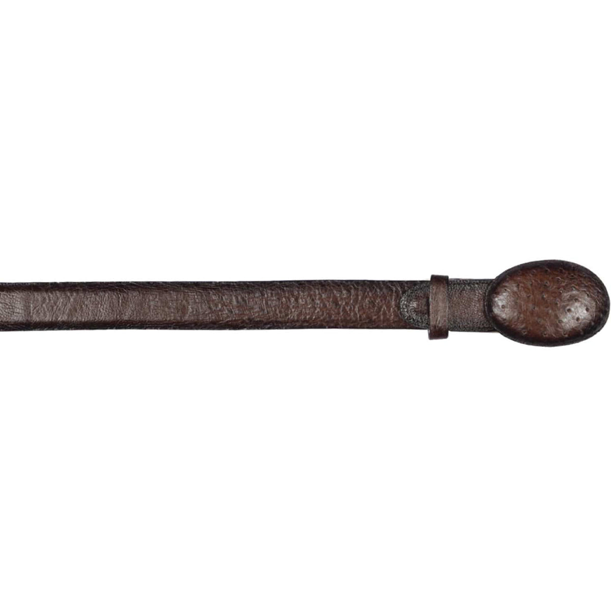 Brown Smooth Ostrich Belt