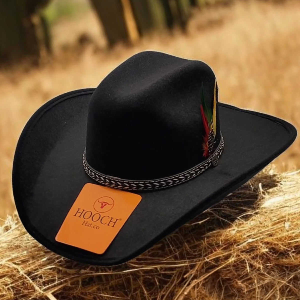 Lined Black Cowboy Hat