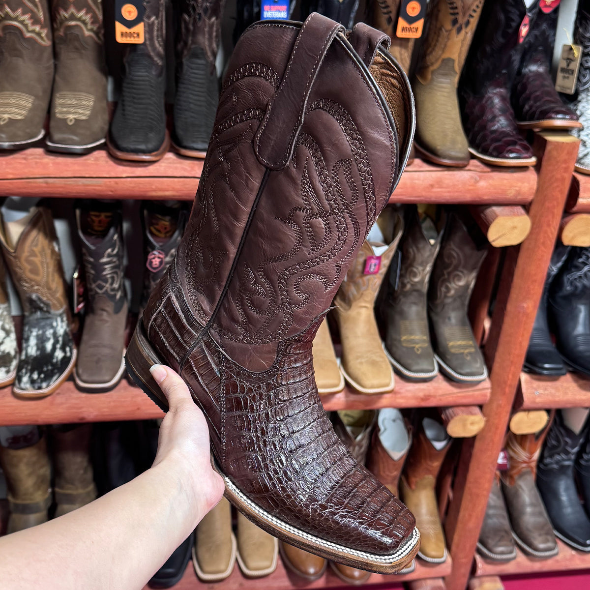 Corral Brown Caiman Square Toe Boot