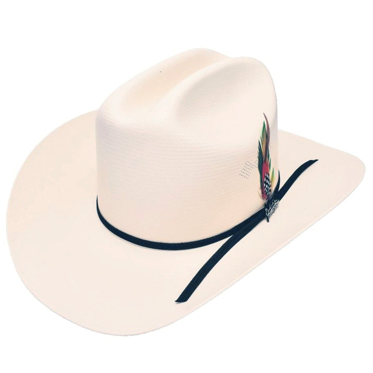 Chaparral 100x Cowboy Hat