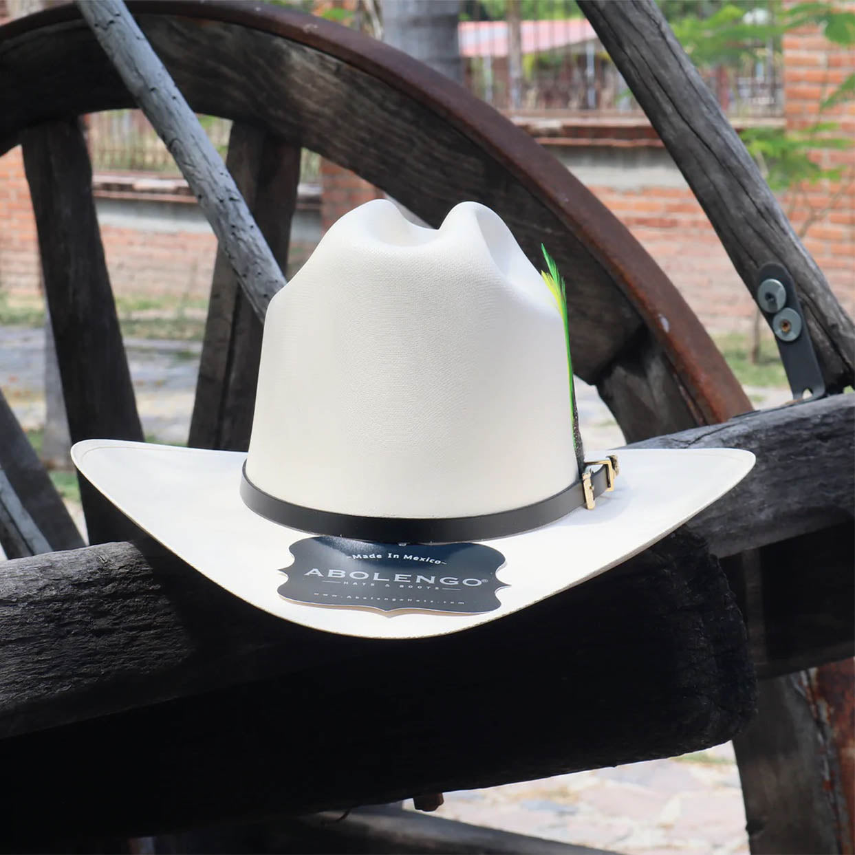  Rancheron 5,000x Cowboy Carin Leon Hat