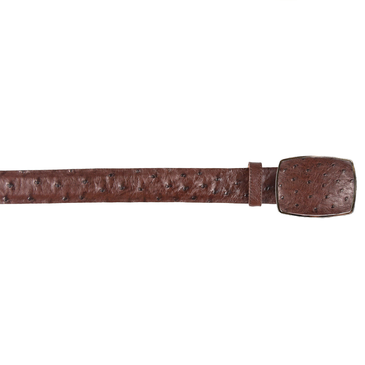  Brown Ostrich Cowboy Belt