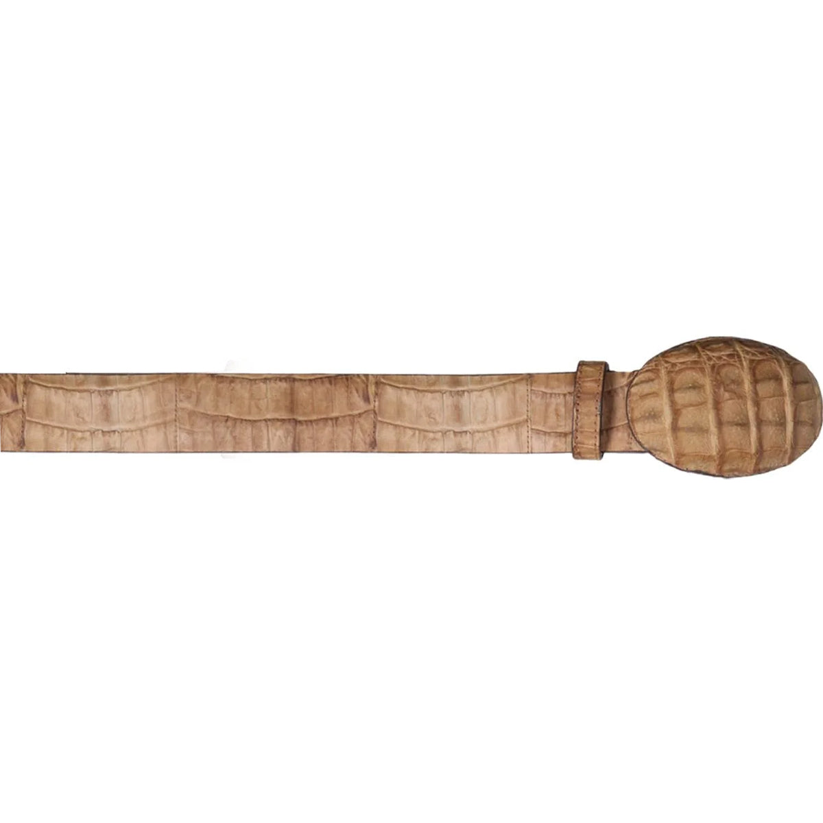  Honey Caiman Belt