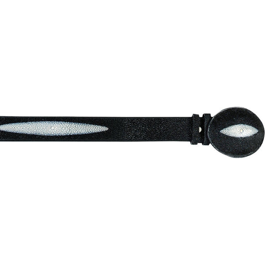  Stingray Belts