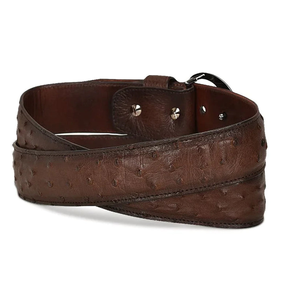  Fashion Ostrich Belt