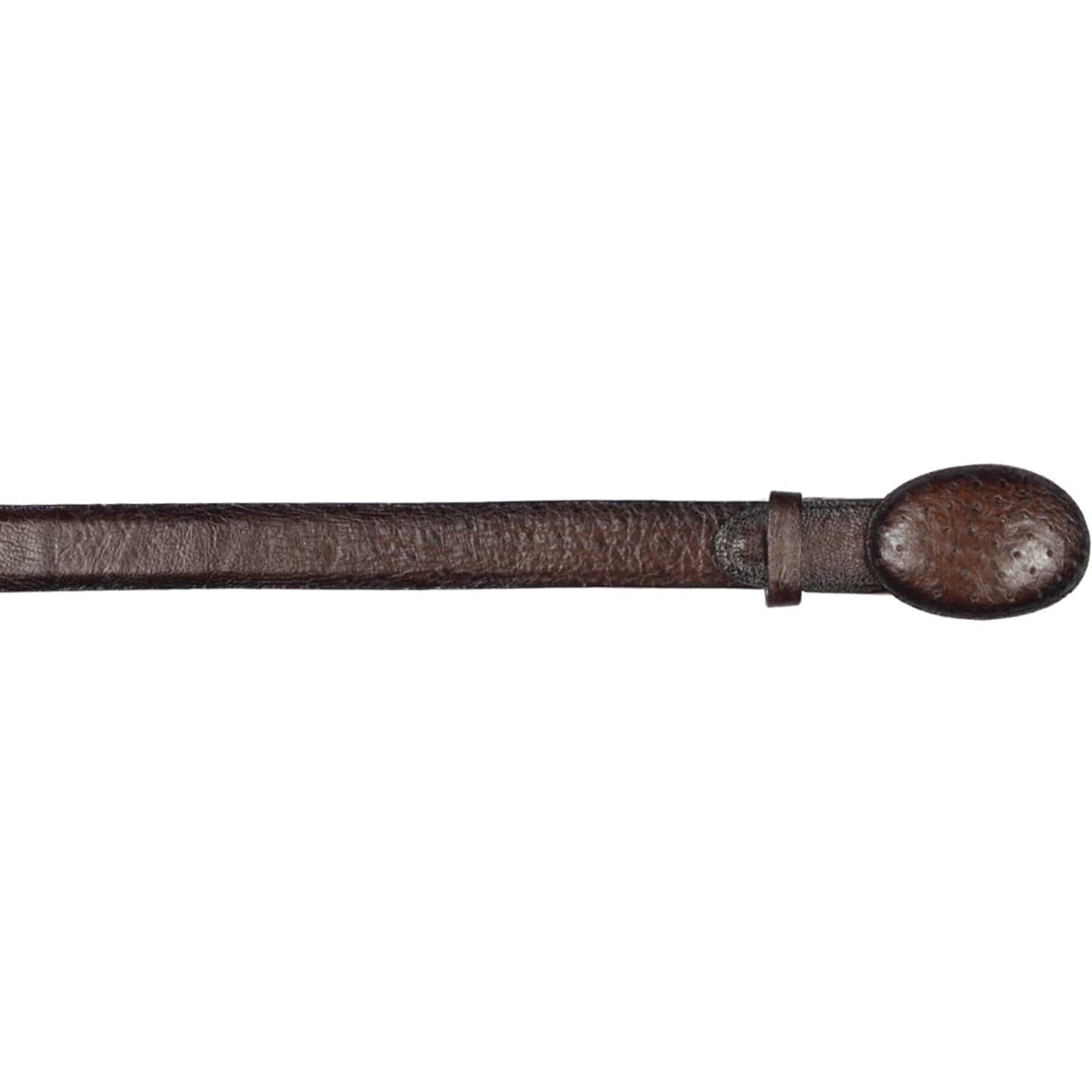  Brown Smooth Ostrich Belt