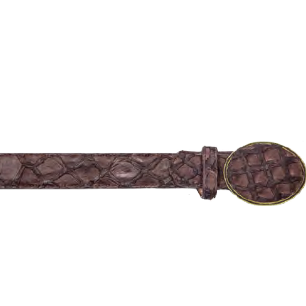  Tobacco Brown Pirarucu Belt
