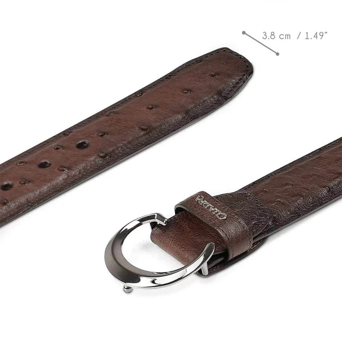  Fashion Ostrich Belt