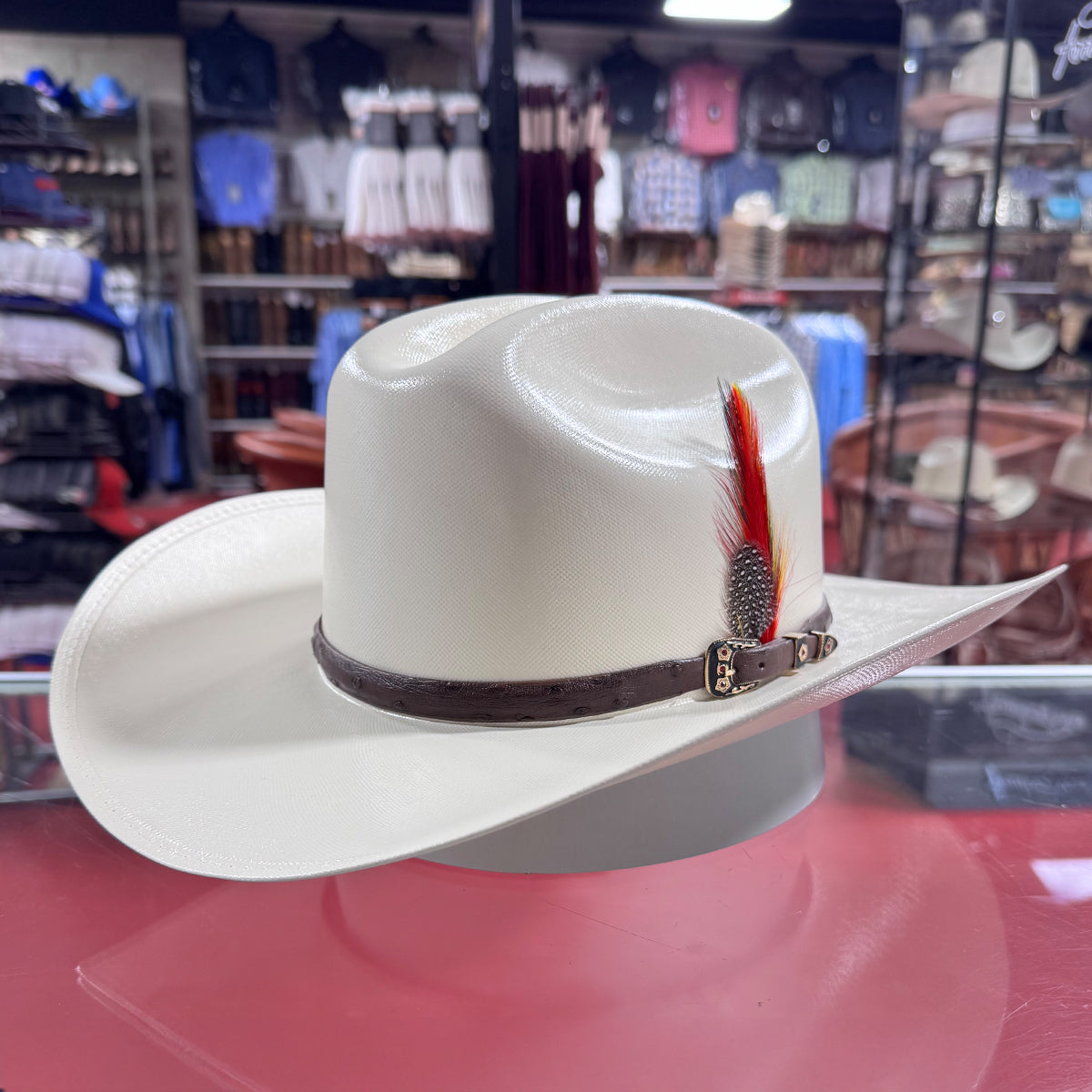  Sombrero 10,000x Cowboy Hat