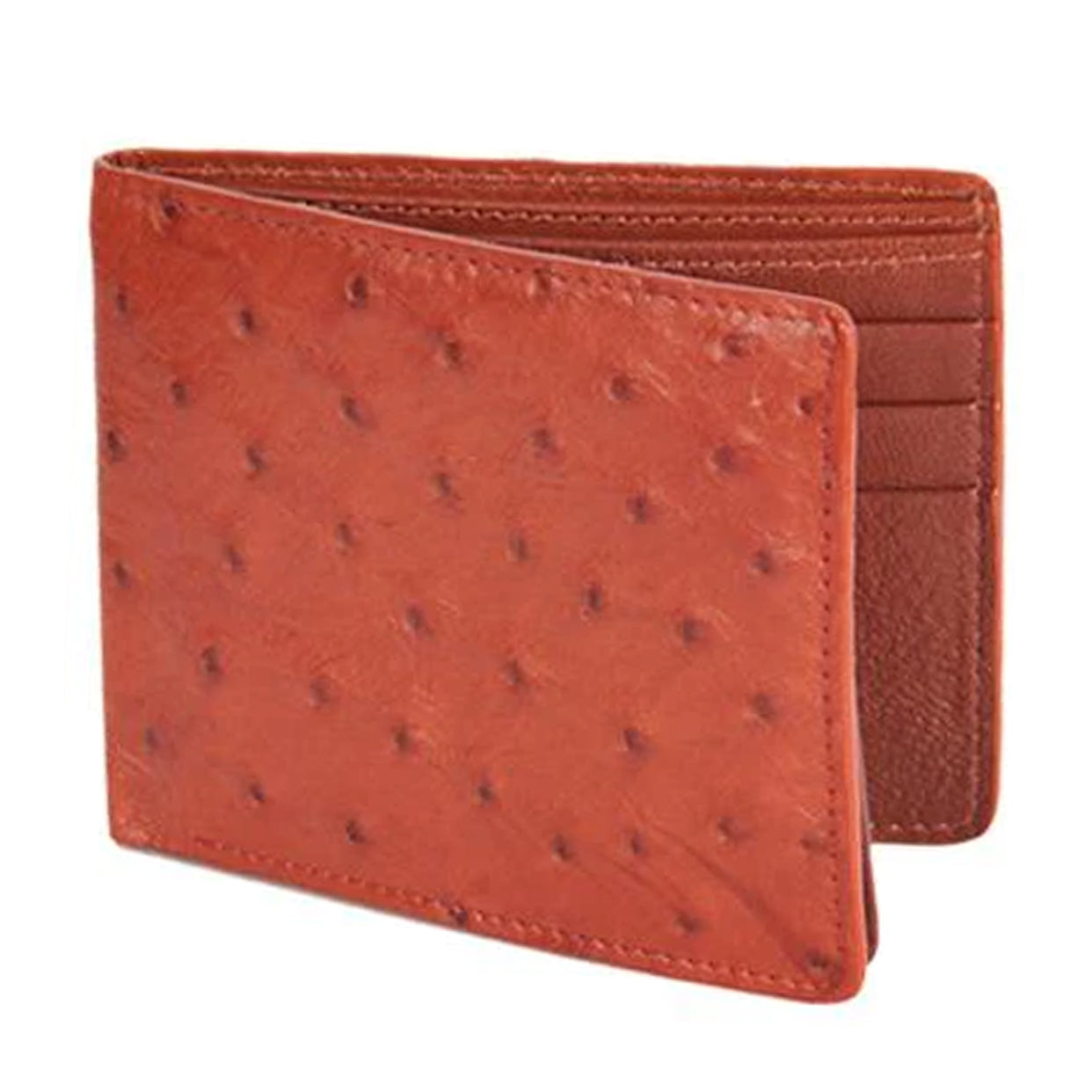  Ostrich Leather Wallet